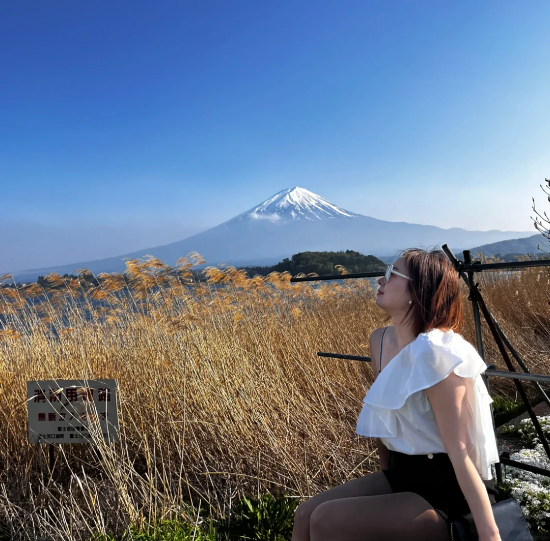 Alicia in profile before Mount Fuji and sunlit golden reeds